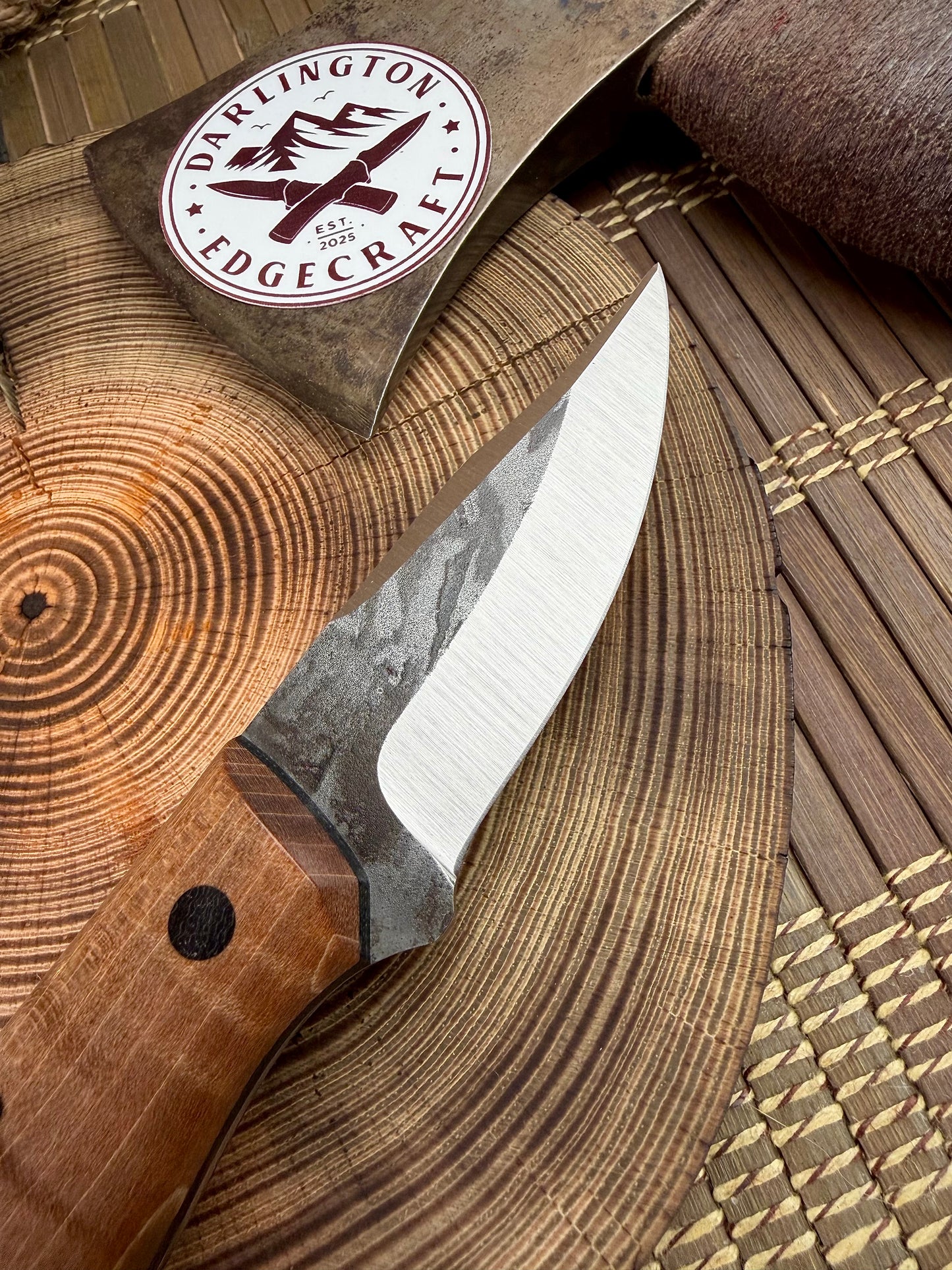 Scylla - Brown Curly Maple - Tapered Nitro V