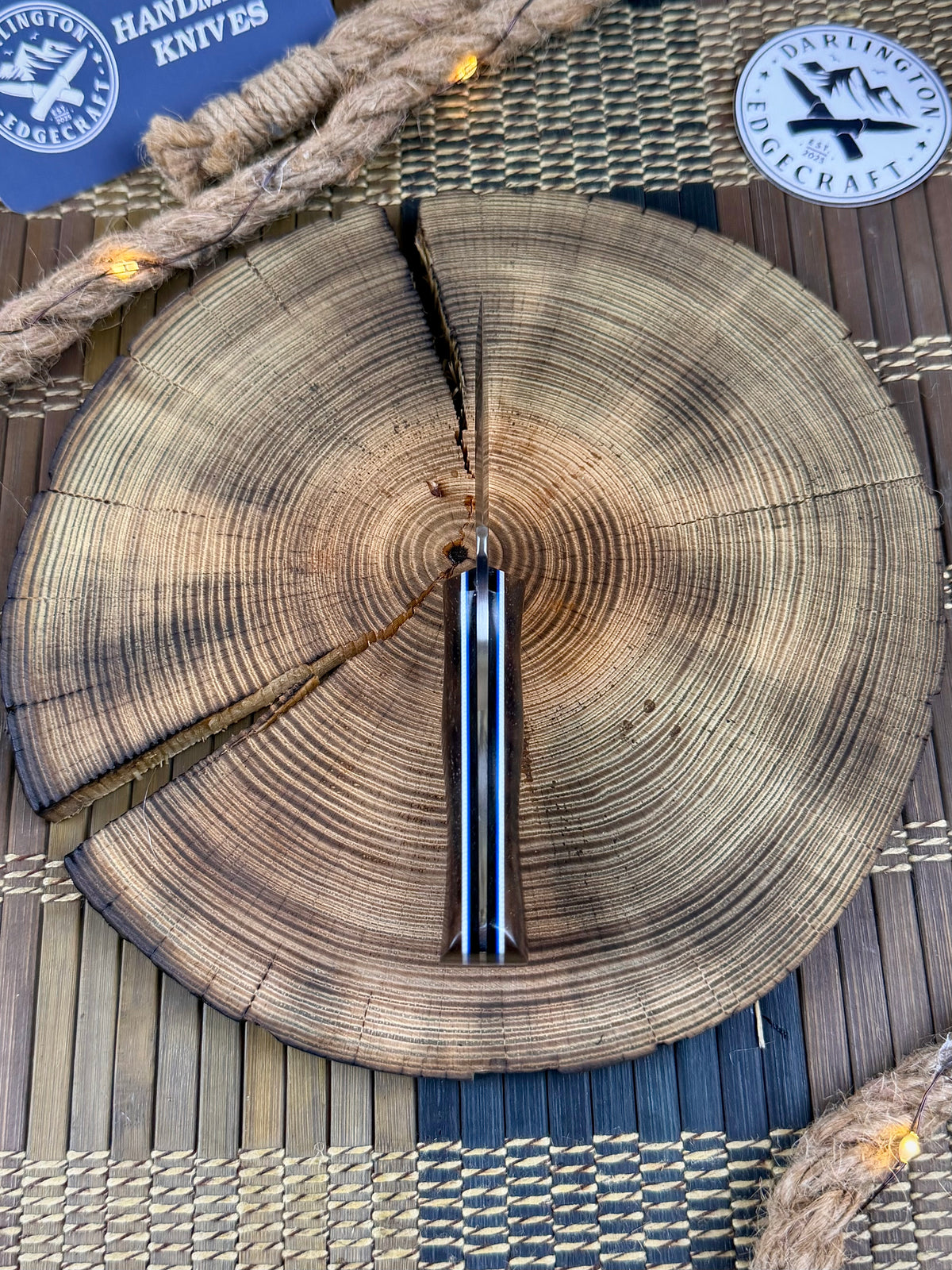 Pioneer - English Walnut - Tapered Nitro V