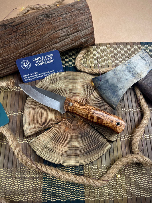Candyman - Black Ash Burl - Tapered Nitro V