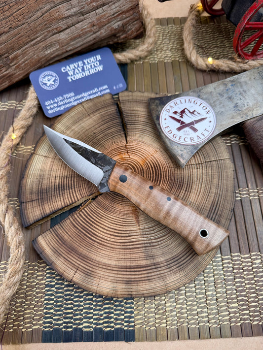 Scylla - Brown Curly Maple - Tapered Nitro V