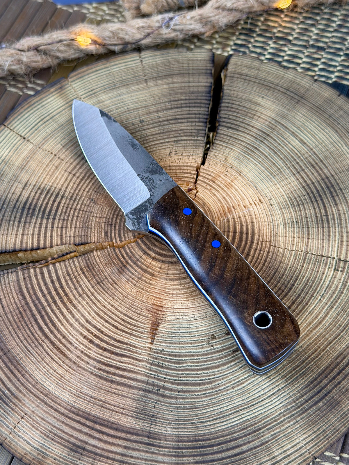 Pioneer - English Walnut - Tapered Nitro V