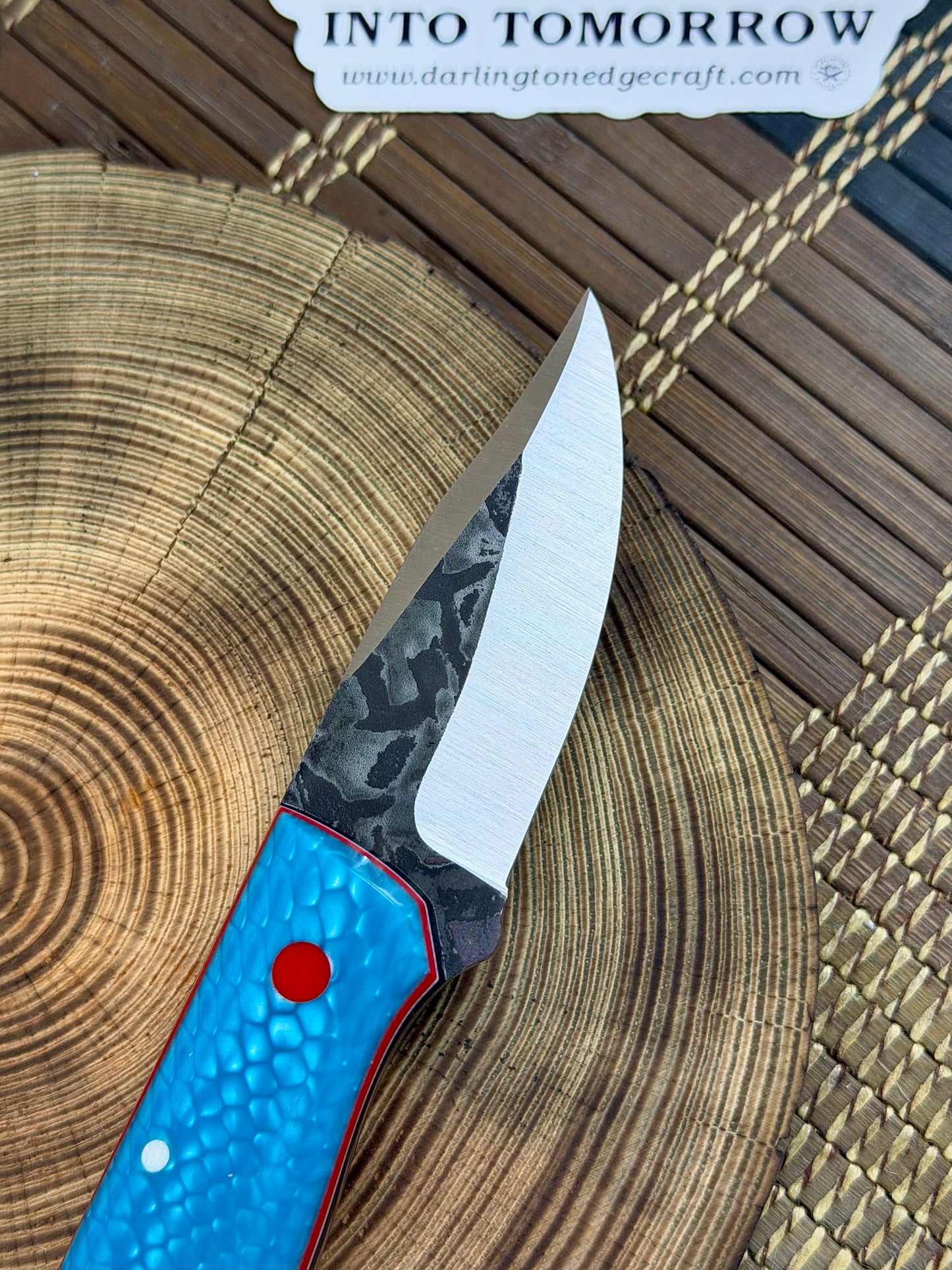 Scylla - Laguna Dragon Juma - Tapered Nitro V