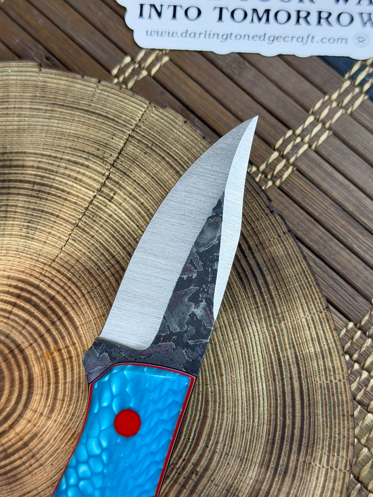 Scylla - Laguna Dragon Juma - Tapered Nitro V