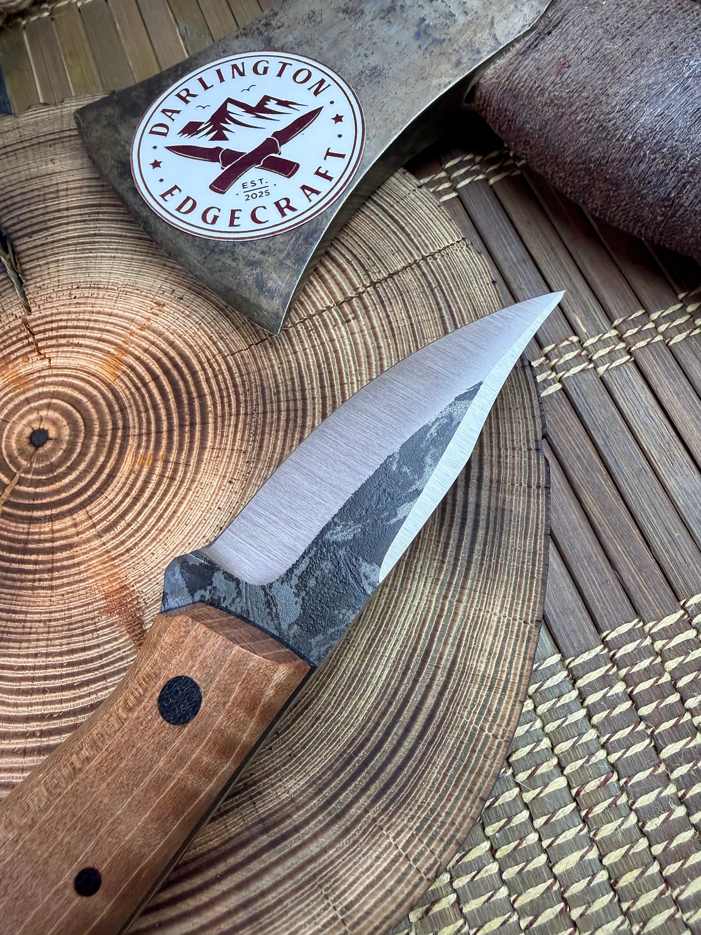 Scylla - Brown Curly Maple - Tapered Nitro V